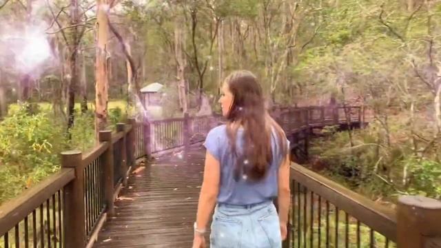 Едем из Брисбена в австралийские джунгли ?? TAMBOURINE NATIONAL PARK ?️ смотреть онлайн