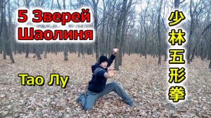 «Кулак 5-ти зверей». Шаолиньцюань. Традиционное Таолу.