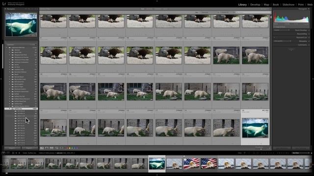 Mastering Lightroom Classic CC - 6: Filters смотреть онлайн