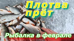 Зимняя рыбалка 2023. Ловля плотвы в феврале.