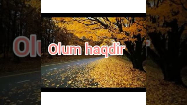 Olum Haqdi.