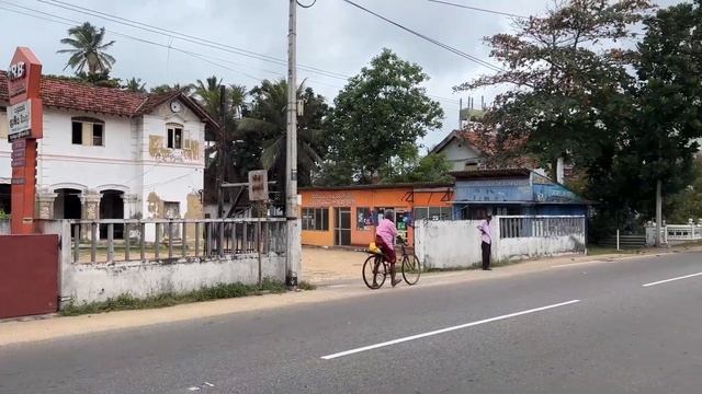 Пляж Хиккадува, дикие черепахи. Питомник морских черепах Хабарадува. Достопримечательности Шри-Ланк смотреть онлайн
