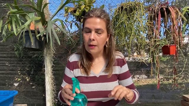 MOTIVO da minha LOVELY ROSE NÃO se desenvolver / Grazi Bittencourt смотреть онлайн