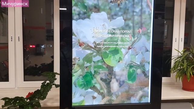 Мичуринск, вокзал Воронежский смотреть онлайн