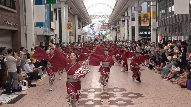 【4K】藍なり｜鳴動~あらたな時~（よさこい全国大会2023 帯屋町）