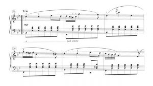 Timothy Brown - Polonaise in G Minor Piano Sheet