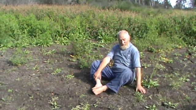 Хоровод в Зеленой рощe,гастах у Володарского.Б.И. смотреть онлайн