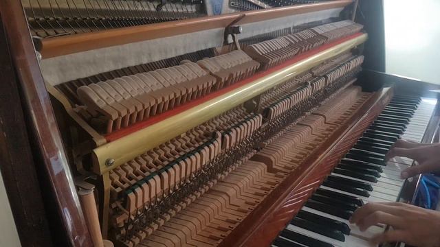 Murka on piano смотреть онлайн