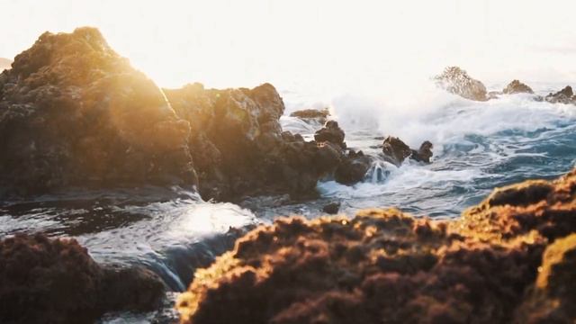 Почему нельзя копить деньги на черный день