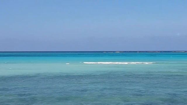 Индийский океан. Занзибар смотреть онлайн