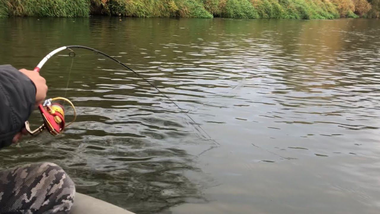 Эти ЩУКИ тащили нас по всей ОКЕ / Сплав по ОКЕ / Рыбалка осенью на ЩУКУ смотреть онлайн