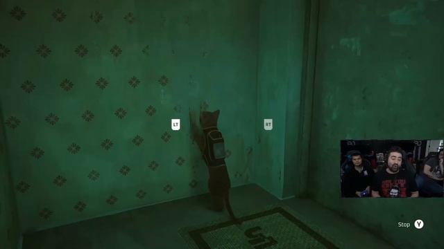 Stray [Angry Joe - RUS RVV]