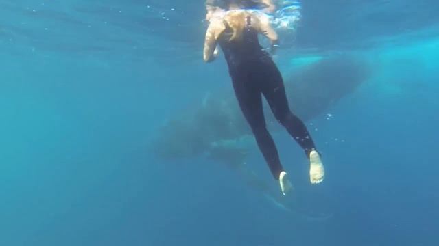 Плавание с Китами. Волшебный мир смотреть онлайн