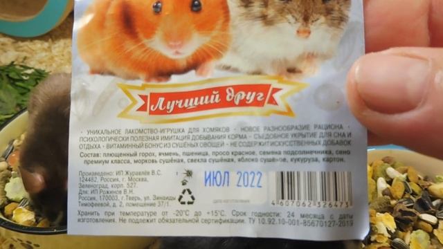 КОРМЛЕНИЕ хомяков ЧЕМ кормить ХОМЯКА #сирийскиехомяки #хомяккэмпбелла #продаюхомякакуплю #кормление смотреть онлайн