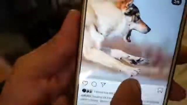 Алексей Поляков. Фотограф, астроном любитель. смотреть онлайн