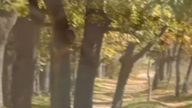 парк Дружбы, Днепр смотреть онлайн