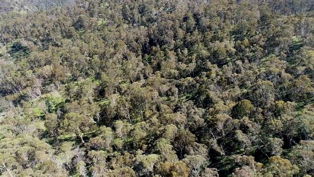Running 220km in the footsteps of a murderer смотреть онлайн