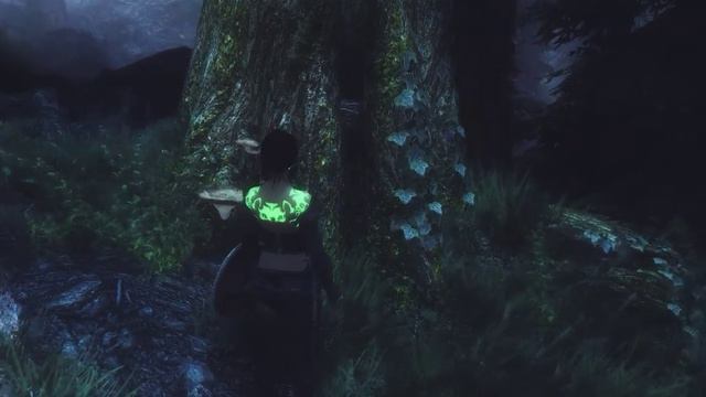 TESV Skyrim 01 12 2015 helgen extraction 003 DVR смотреть онлайн