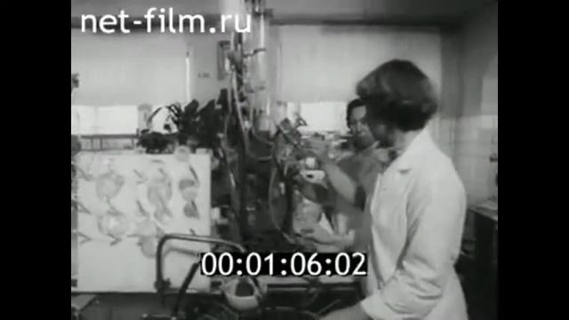1981г. Дорогобуж. завод азотных удобрений. Смоленская обл смотреть онлайн