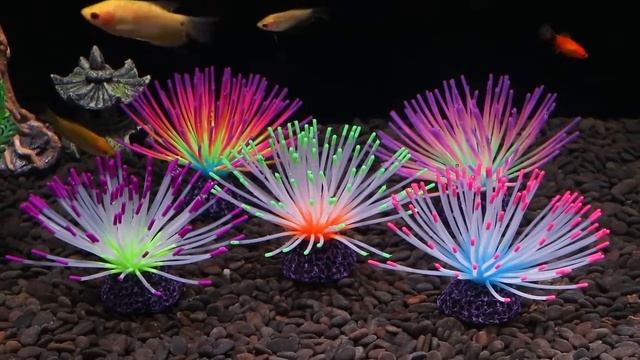 Декор для аквариума "Морской еж" смотреть онлайн