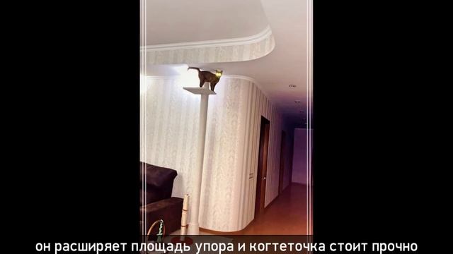 Белая когтеточка в распор с потолочным пятачком для гипсокартонного потолка смотреть онлайн