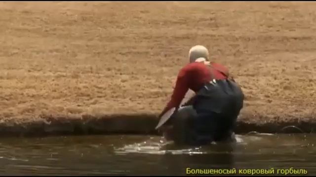 Рыбалка Несносный Дед смотреть онлайн