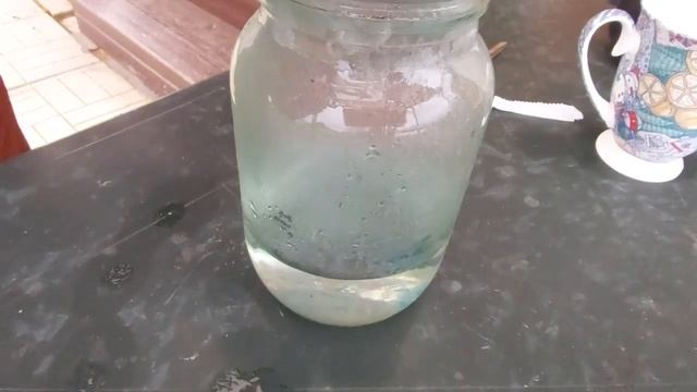 431. РОЗЫ готовим к зиме - ВЫКАПЫВАЕМ и уносим в подвал, УКРЫВАЕМ. Здорово, успели до снегопада смотреть онлайн