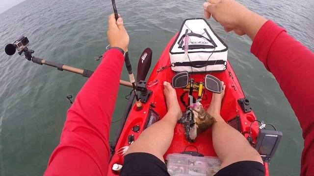 Squid Jig + Pro Cure Squid Gel = Aggressive slack tide Fluke (Summer Flounder) | Montauk NY смотреть онлайн