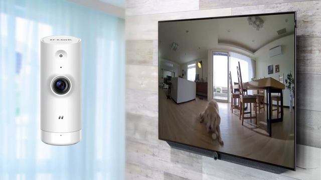 D-Link, DCS-8000LH Mini HD Wi-Fi Camera now works with Amazon Alexa смотреть онлайн