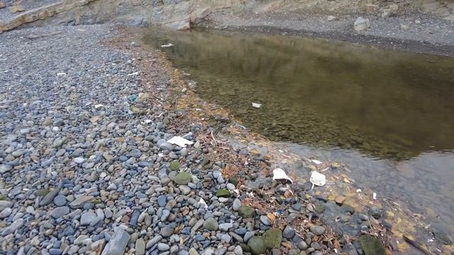 Я В ГОРАХ СУККО! МОРЕ КИШИТ МЕДУЗАМИ! ЧТО ПРОСИХОДИТ НА КУРОРТЕ СЕЙЧАС? СТОИТ ЛИ СЮДА ЕХАТЬ? смотреть онлайн