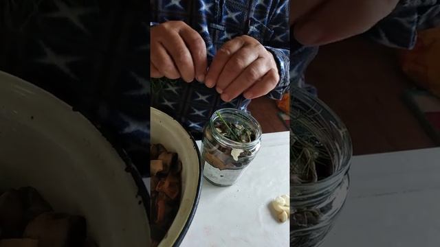Как солить грибы смотреть онлайн