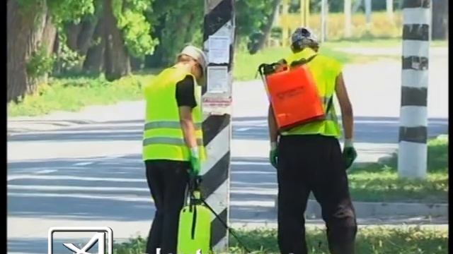 Борьба с амброзией