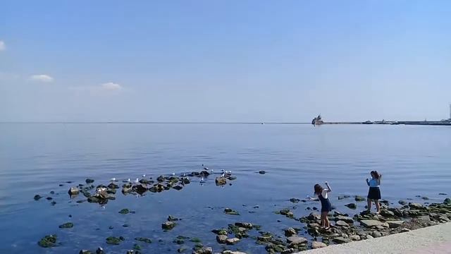 Чёрное море.Феодосийский залив.Набережная.(03/09/2019 12:35) смотреть онлайн