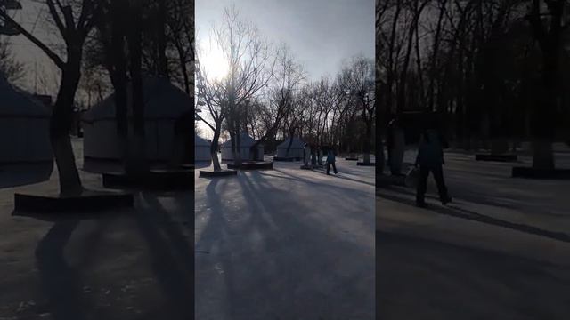 Прогулка по парку 24 декабря сего года смотреть онлайн