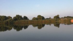 Бюджетная карповая рыбалка. Краснодарский край. Ловля карпа не дорого. Как ловить карпа!