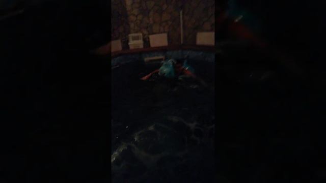 Выходные КМС по плаванию...... смотреть онлайн