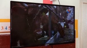 Дети - о молочных продуктах