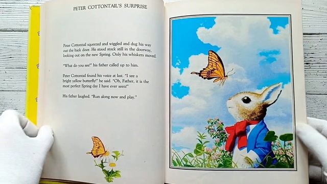 Обзор книги Peter Cottontail's Surprise смотреть онлайн
