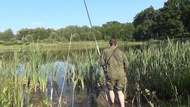 Рыбалка на поплавок на крупного карася на маленьком озерце смотреть онлайн