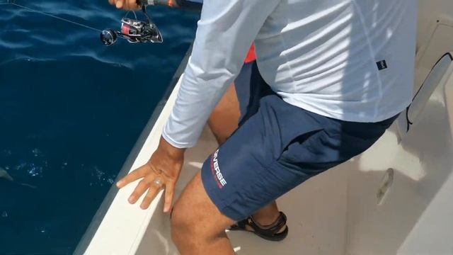 Huge amberjack with samurai sparrow jig - oman ?? смотреть онлайн