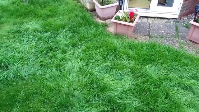 Загадочные круги