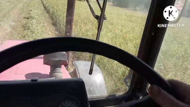 Кошу суданку Трактор МТЗ 82.1 турбо , сенокосилка Pöttinger. Ферма Хуторок. смотреть онлайн