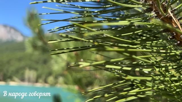 Никогда не принимайте ЭТИ ПОДАРКИ. Какие вещи, предметы нельзя дарить,принимать по народным примета смотреть онлайн