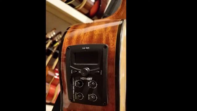 Yamaha F370, Yamaha APX500, AK 140EQ, Fender CD-60, Kuerni K4, Montana MA705C, Santa Cruz DRW 21 смотреть онлайн