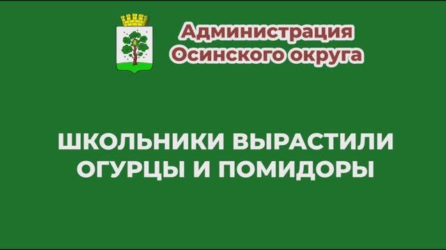 Школьники вырастили овощи