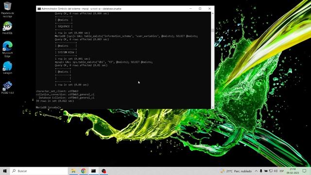 SHOW PROCEDURE Mariadb/Mysql смотреть онлайн
