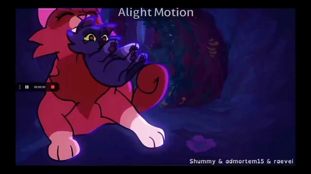 Топ 6 моих ЛЮБИМЫХ персонажей из КВ(коты воители) #котывоители смотреть онлайн