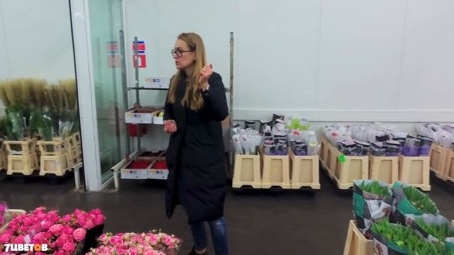 Тюльпаны и пионы осенью?! Уникальная поставка цветов в cash&carry | Обзор Ольги Шаровой смотреть онлайн