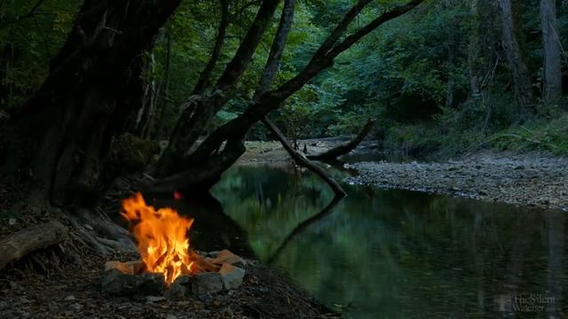 Клубника выращивание и уход весной смотреть онлайн