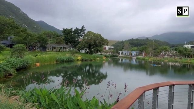 The Dongchong Mangrove Wetland Park: Shenzhen’s Hidden Oasis of Nature смотреть онлайн